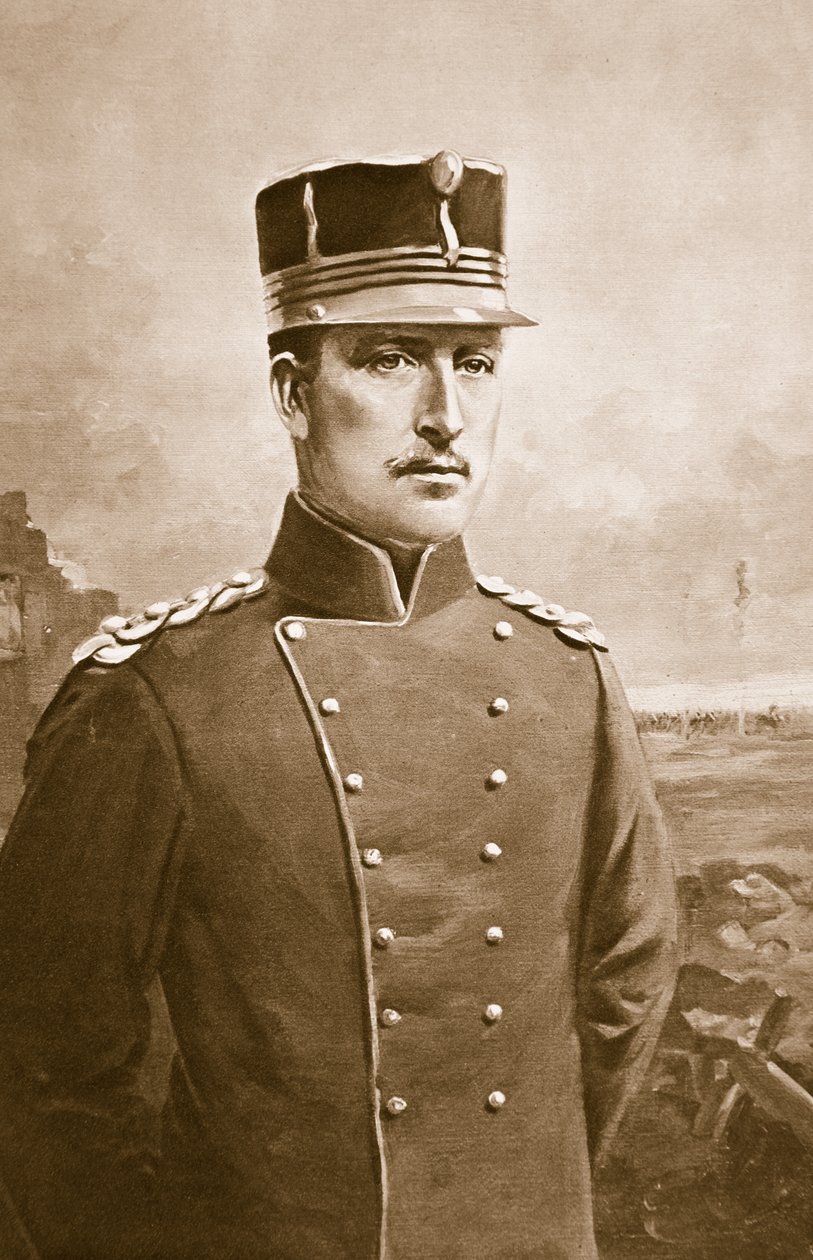 Albert I belgialaisten kuningas, 1914-1919 tekijältä Charles Mills Sheldon