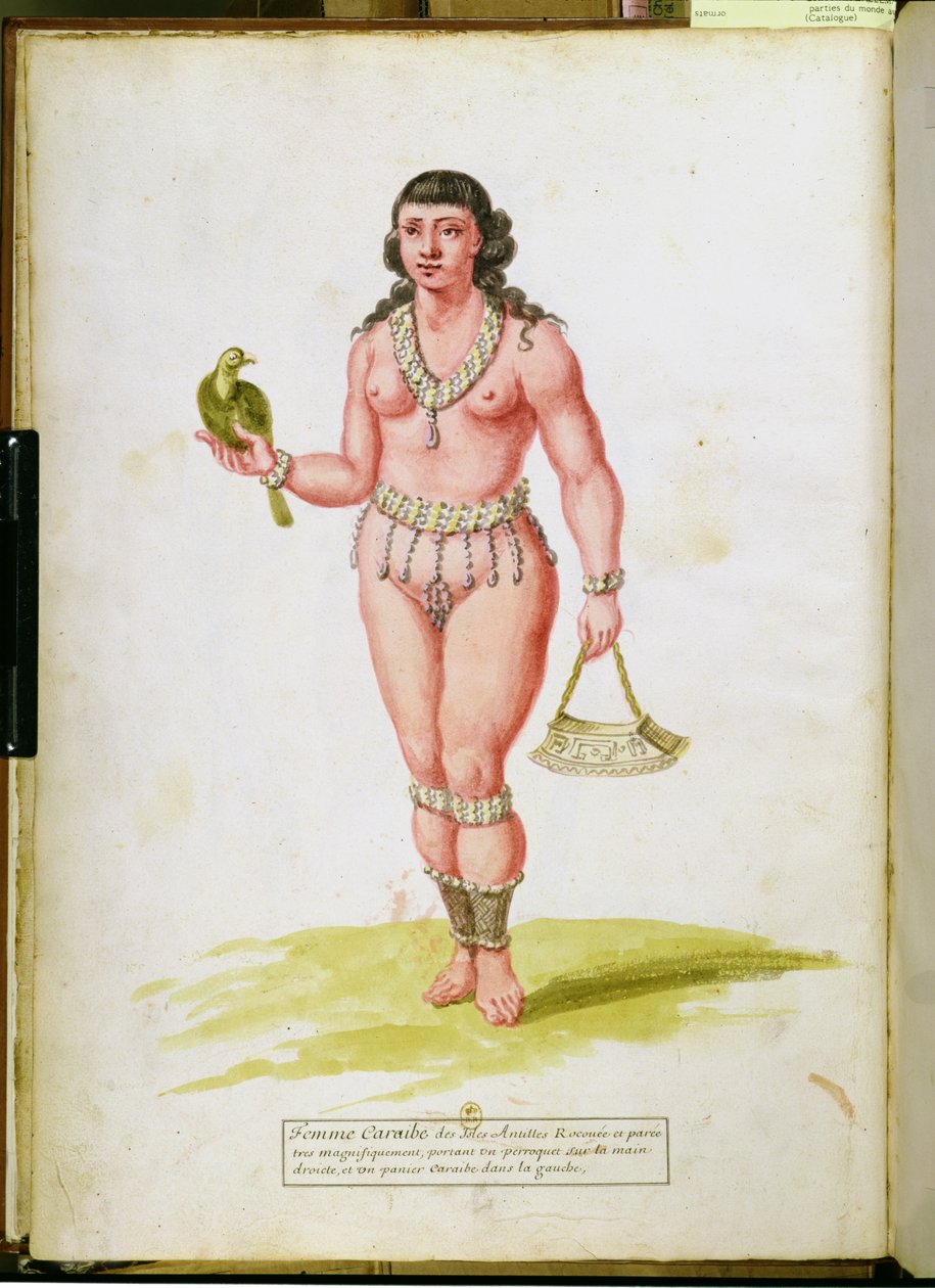 Kotoisin Karibiasta papukaijan kanssa, käsikirjoituksesta kasveista ja sivilisaatiosta Antilleilla, n. 1686 tekijältä Charles Plumier