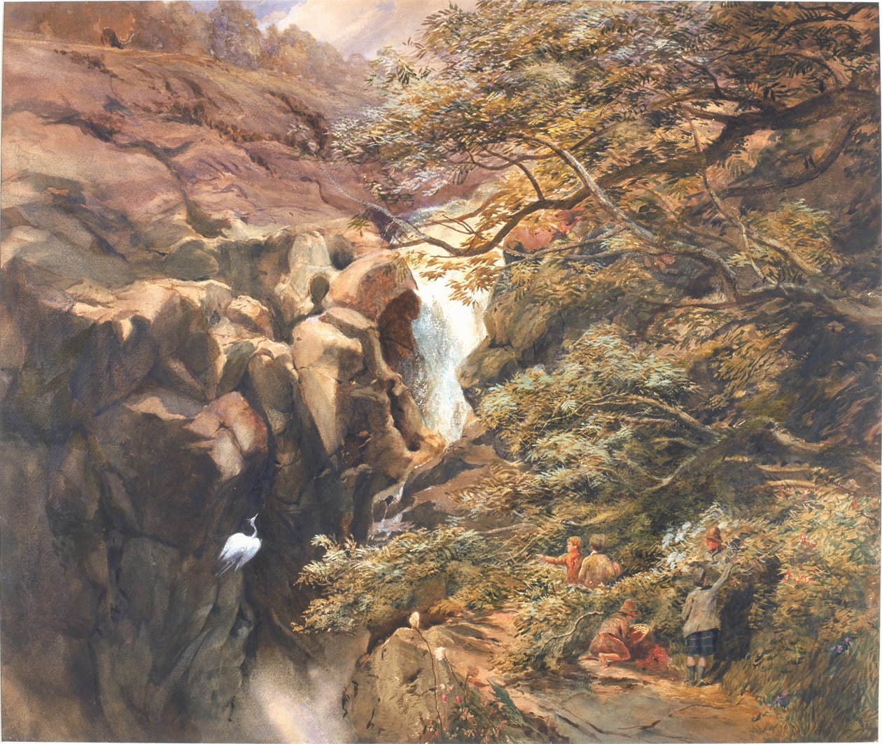Falls of Bran (vartalon väri ja wc paperilla) tekijältä Charles Richardson