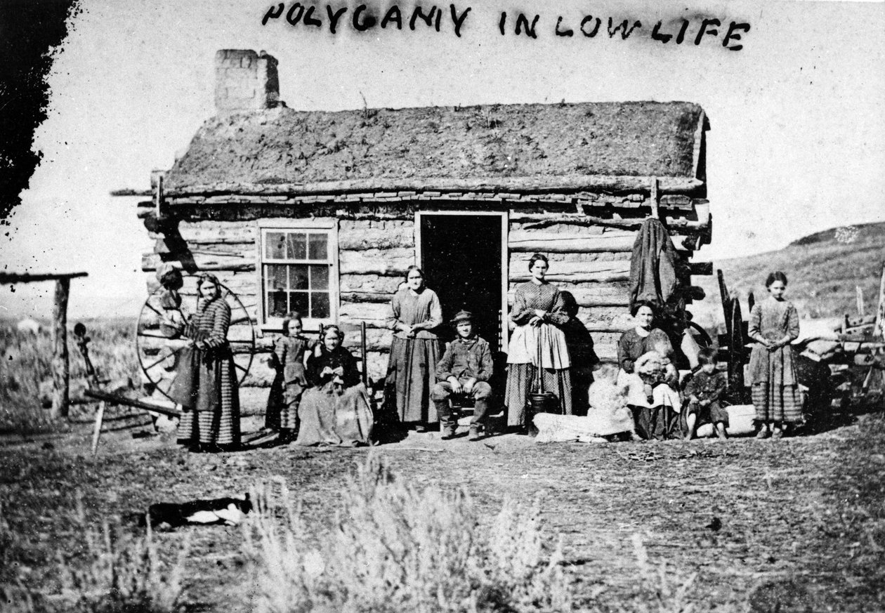 Moniavioisuus in Low Life, noin 1860-luku tekijältä Charles Roscoe Savage
