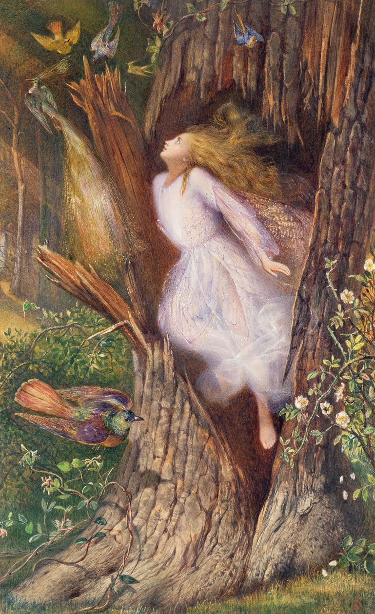 Apollon Daphnen metamorfoosi laakeripuuksi tekijältä Charles Sims