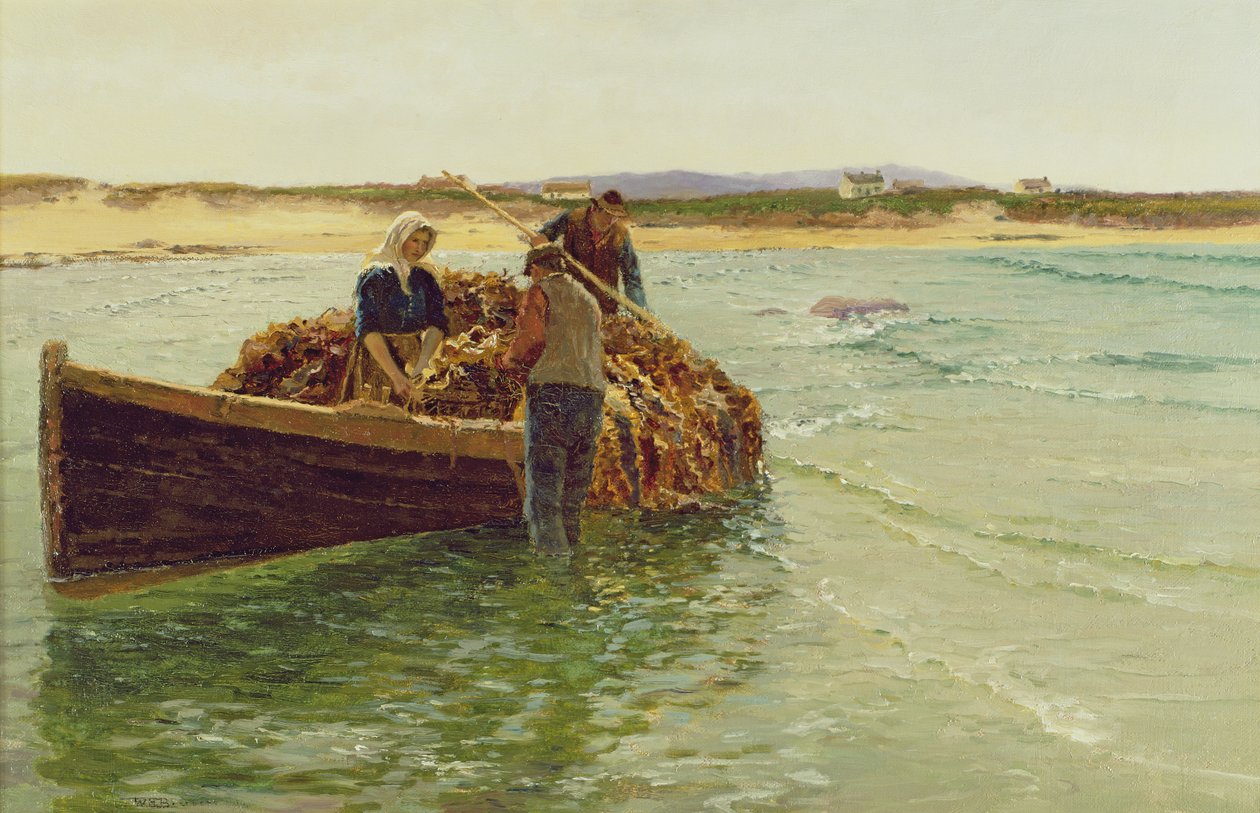Kelp Weedin purkaminen tekijältä Charles William Bartlett