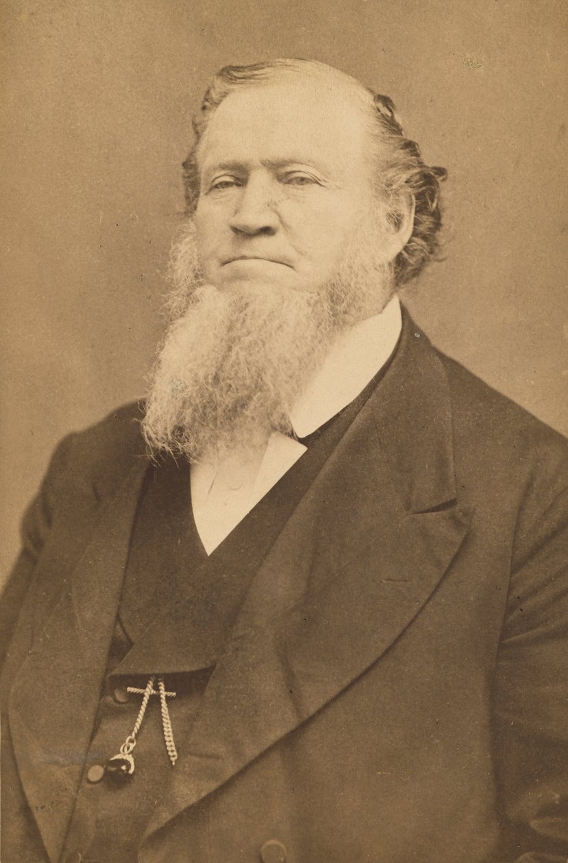 Brigham Young tekijältä Charles William Carter