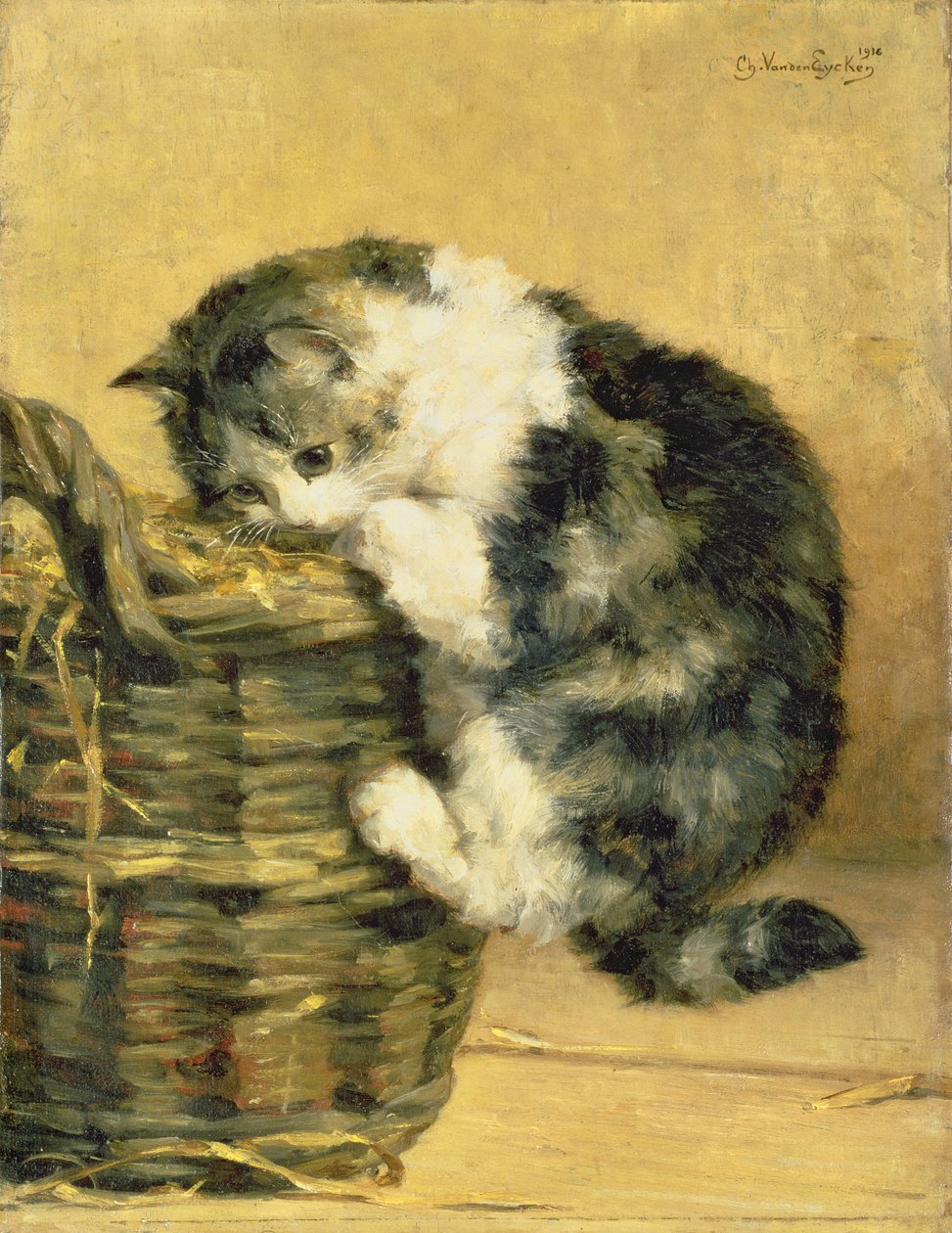 Kissa korin kanssa tekijältä Charles van den Eycken