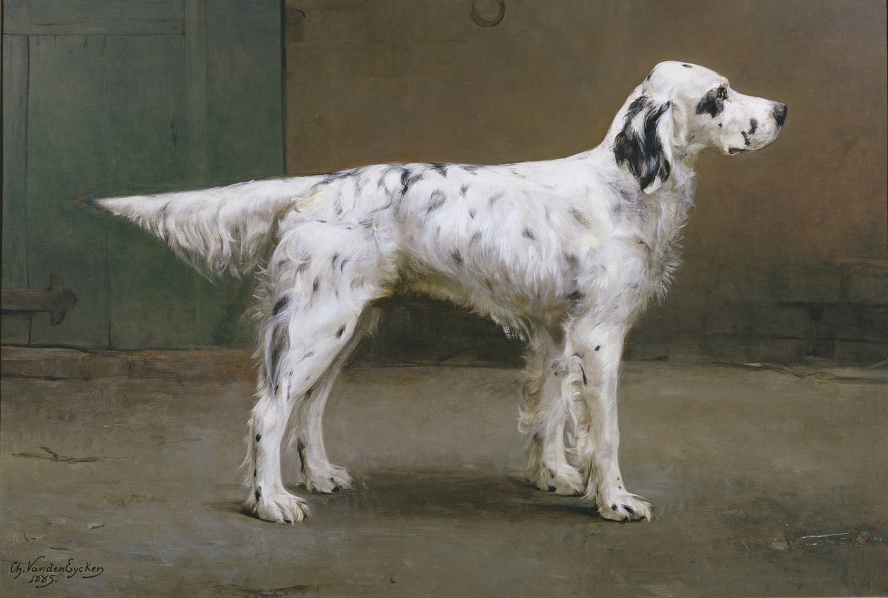 Muotokuva koirasta, 1885 (pari 378730) tekijältä Charles van den Eycken