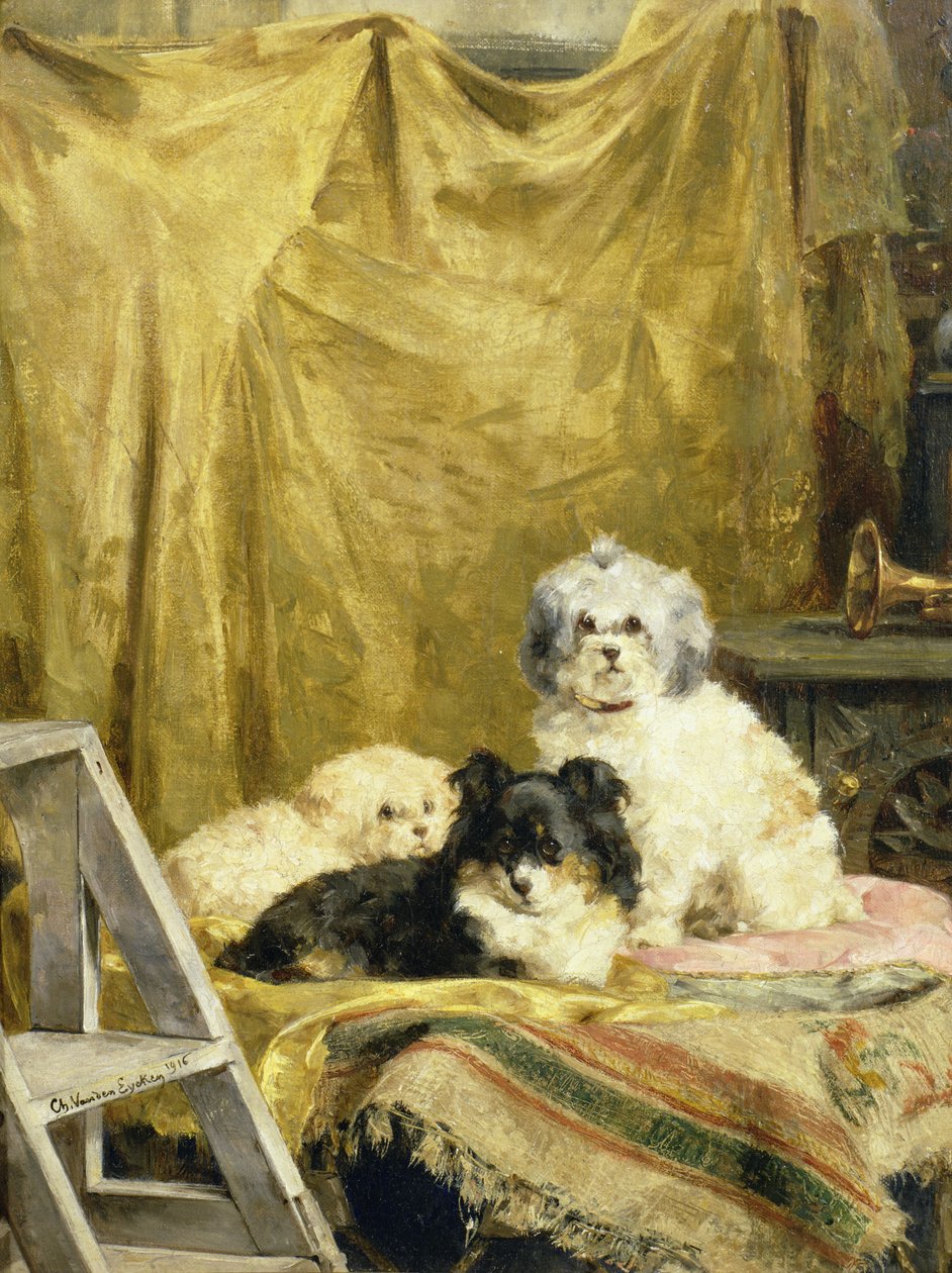 Kolme Koiraa tekijältä Charles van den Eycken