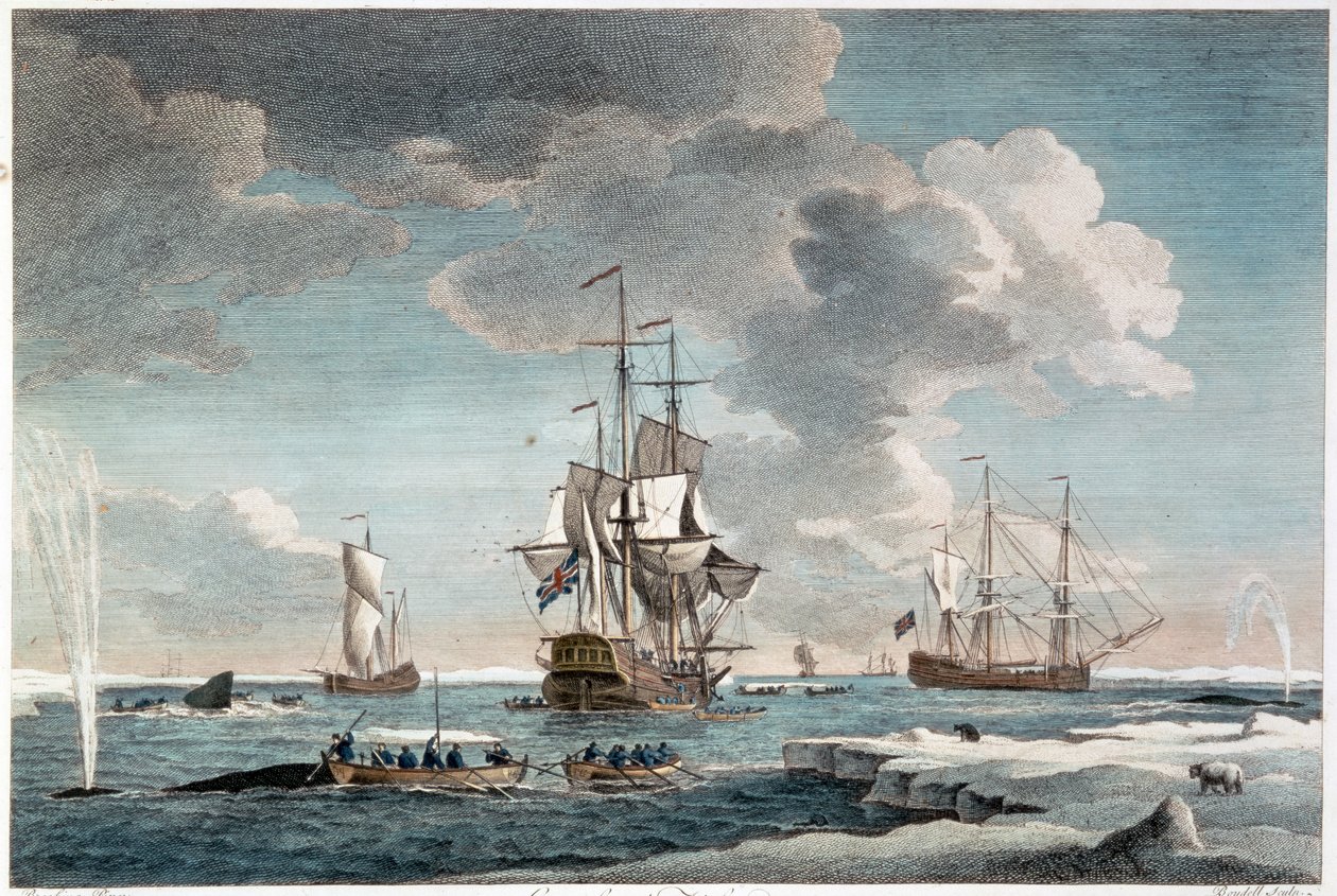 Grönlannin kalastus, kaivertaja John Boydell (1719-1804) 1754 (värikaiverrus) tekijältä Charles (after) Brooking