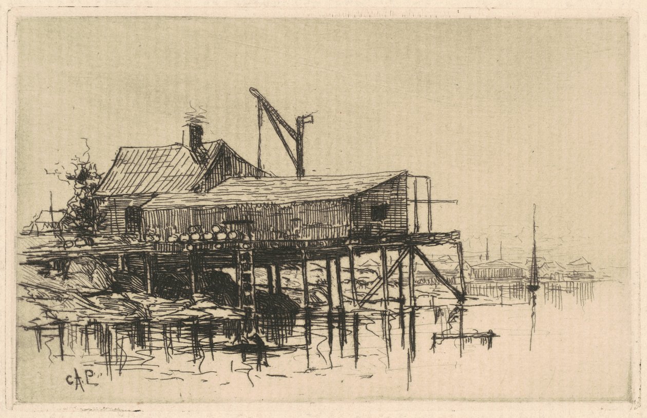Suola Shanties tekijältä Charles A. Platt