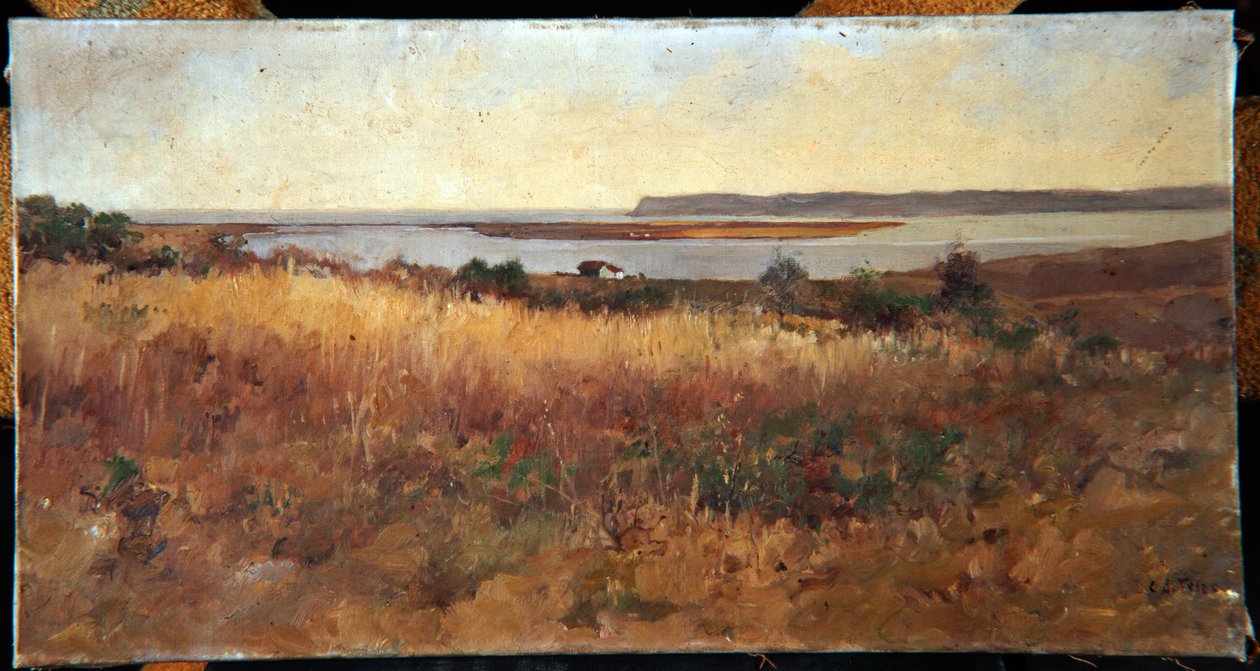 Point Loma Logan Heightsista tekijältä Charles Arthur Fries