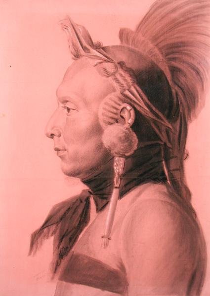 Intialaisen, mahdollisesti Shahakan, Mandan-päällikön muotokuva (kynä ja hiili värilliselle paperille) tekijältä Charles Balthazar Julien Févret de Saint Mémin