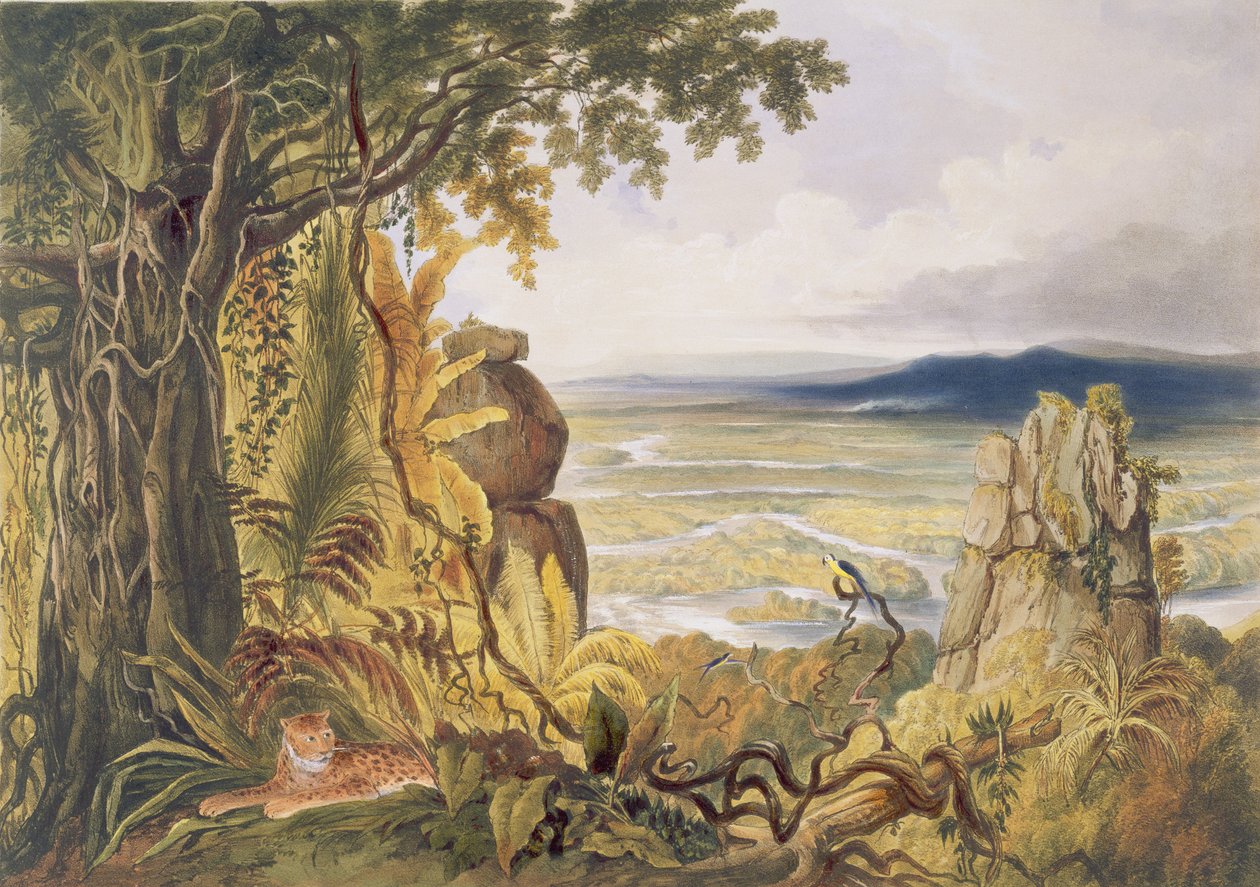 Comuti- tai Taquiare-kallio Essequibo-joen varrella, kuvasta "Views in the Interior of Guiana", kaiverrettu George Barnardin (1832-90) kaiverruksesta, julkaissut Ackermann, 1840. tekijältä Charles Bentley