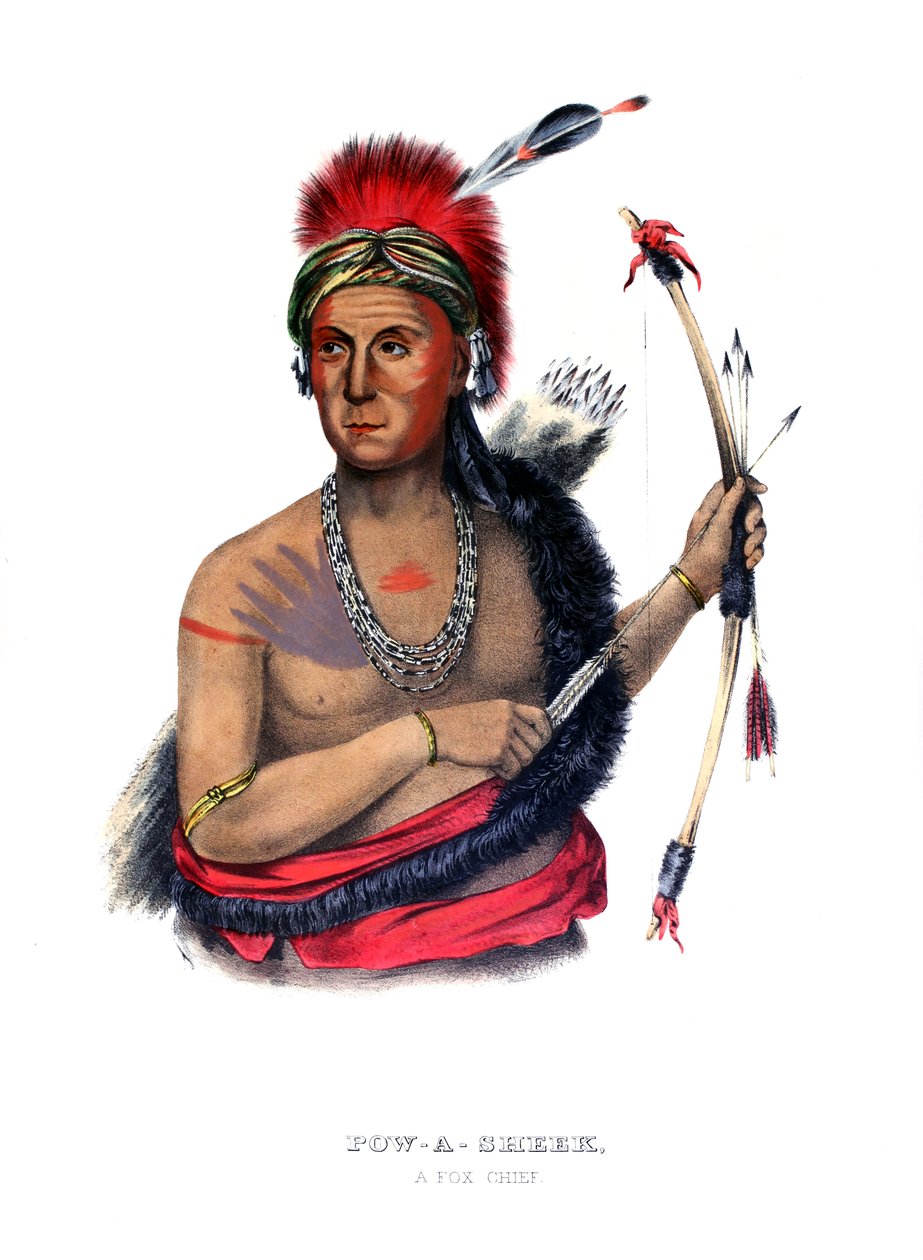 Powasheek tekijältä Charles Bird (after) King