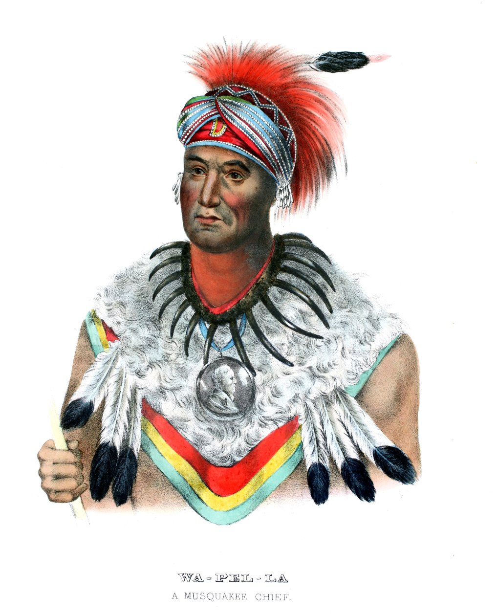 Wapella tekijältä Charles Bird (after) King