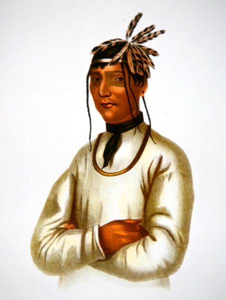 Caatousee of the Chippewa Tribe (väriliitossa) tekijältä Charles Bird King