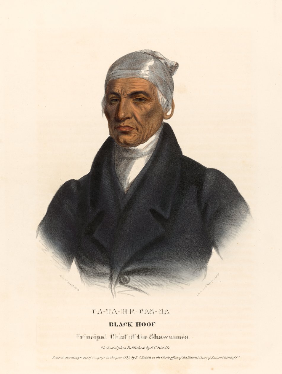 Catahecassa tekijältä Charles Bird King