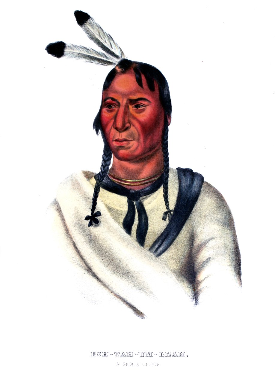 Eshtahumbah (Sleepy Eyes), Sioux-päällikkö tekijältä Charles Bird King