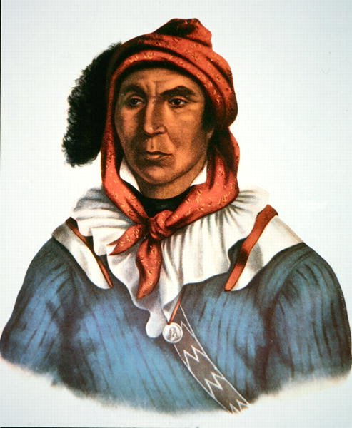 Julcee Mathla tekijältä Charles Bird King
