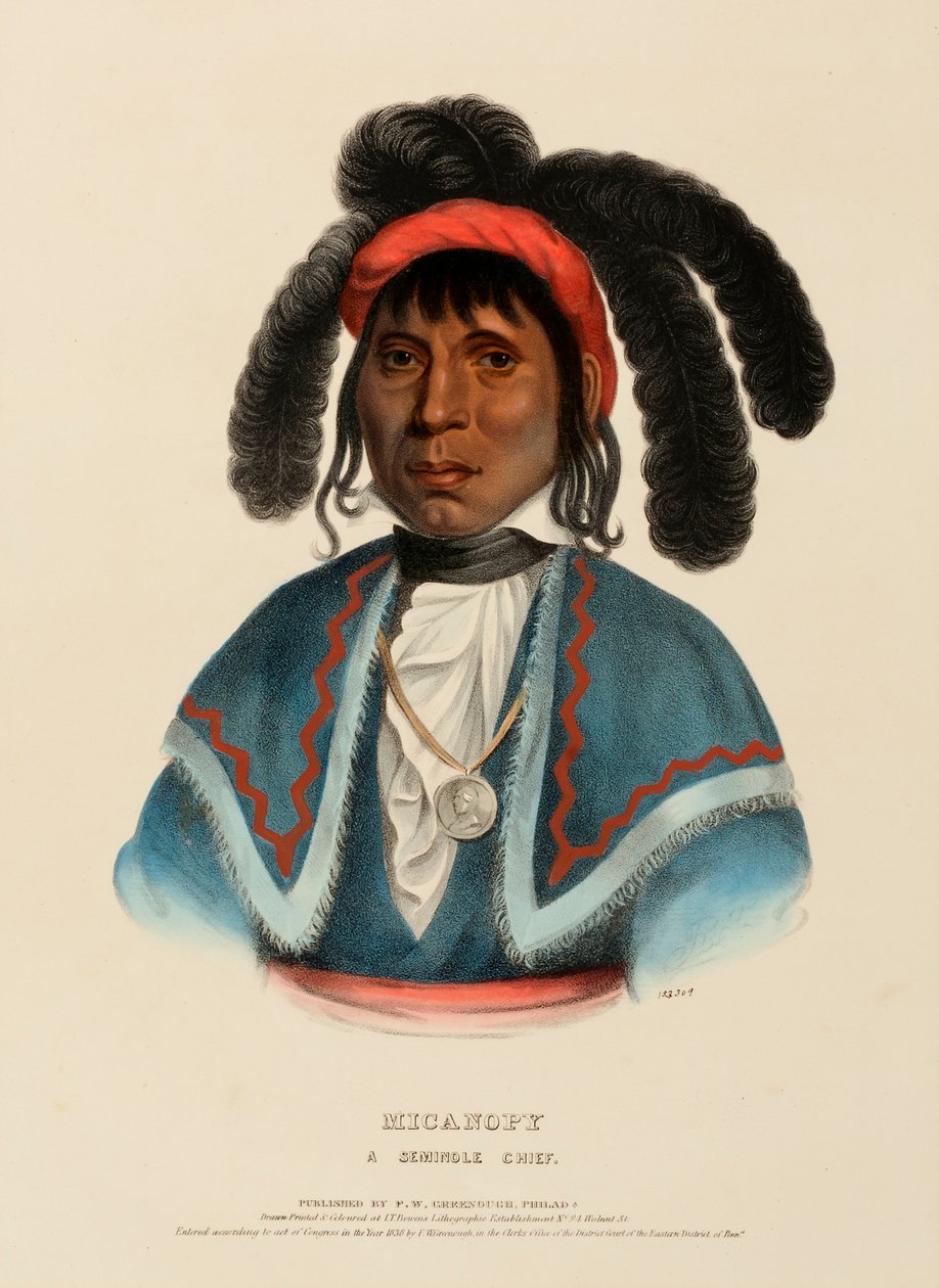 MICANOPY. A SEMINOLE CHIEF., from History of the Indian Tribes of North America. tekijältä Charles Bird King