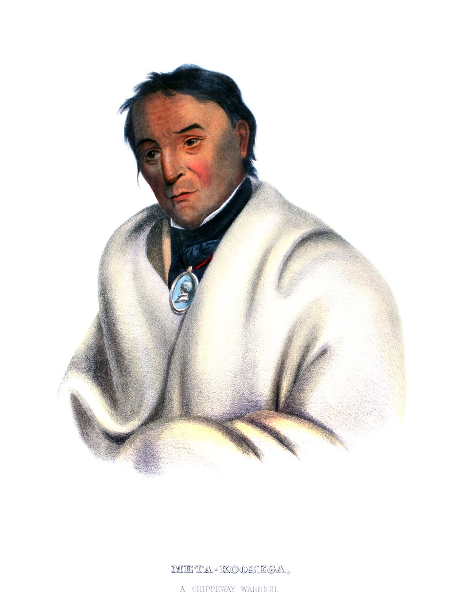 Metakoosega ("Pure Tobacco"), Chippewayn soturi tekijältä Charles Bird King