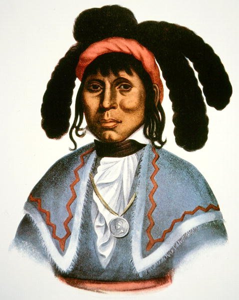 Micanopy (k. 1849) n. 1826 (väri litho) tekijältä Charles Bird King