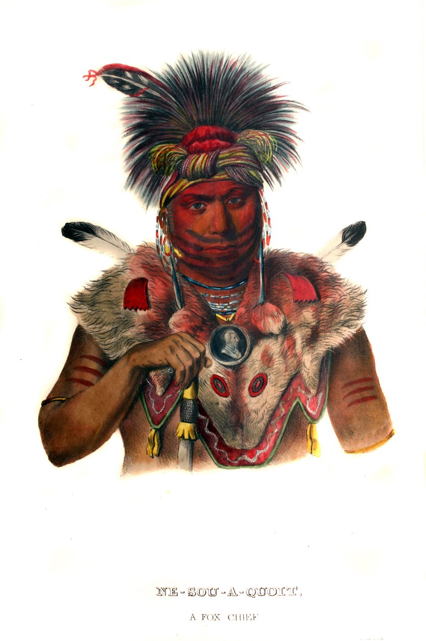 Nesouaquoit ("Karhu puun haarukoissa") tekijältä Charles Bird King
