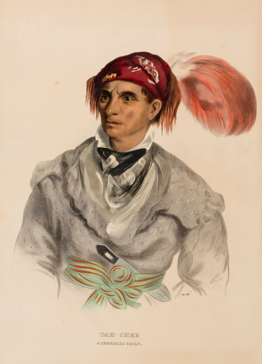 Tah-Chee (hollantilainen), Cherokee-päällikkö, Pohjois-Amerikan intiaaniheimojen historiasta. tekijältä Charles Bird King