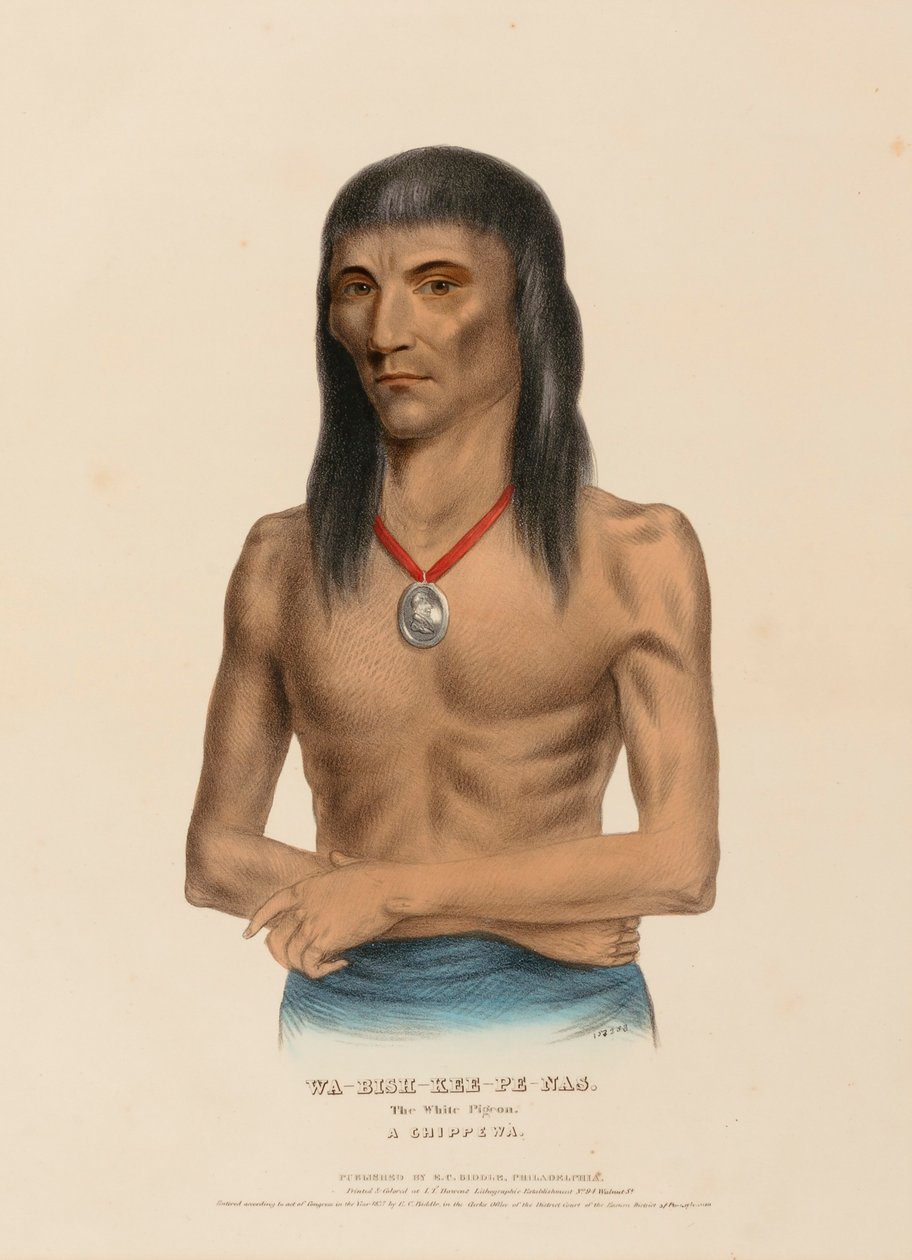 WA-BISH-KEE-PE-NAS. Valkoinen kyyhkynen. A CHIPPEWA, Pohjois-Amerikan intiaaniheimojen historiasta. tekijältä Charles Bird King