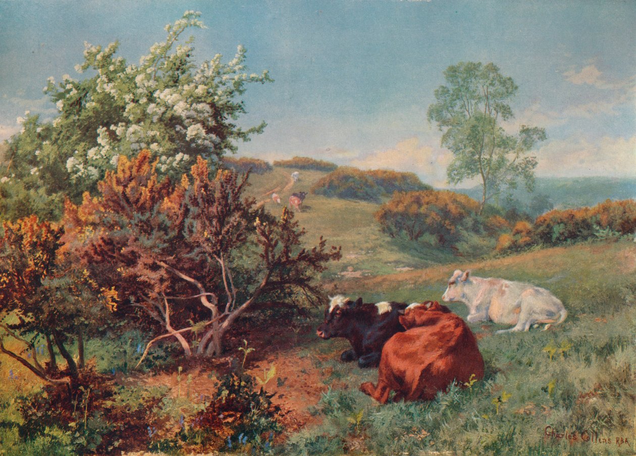 Maisema karjan kanssa Nowerissa, Dorking, c1899 tekijältä Charles Collins