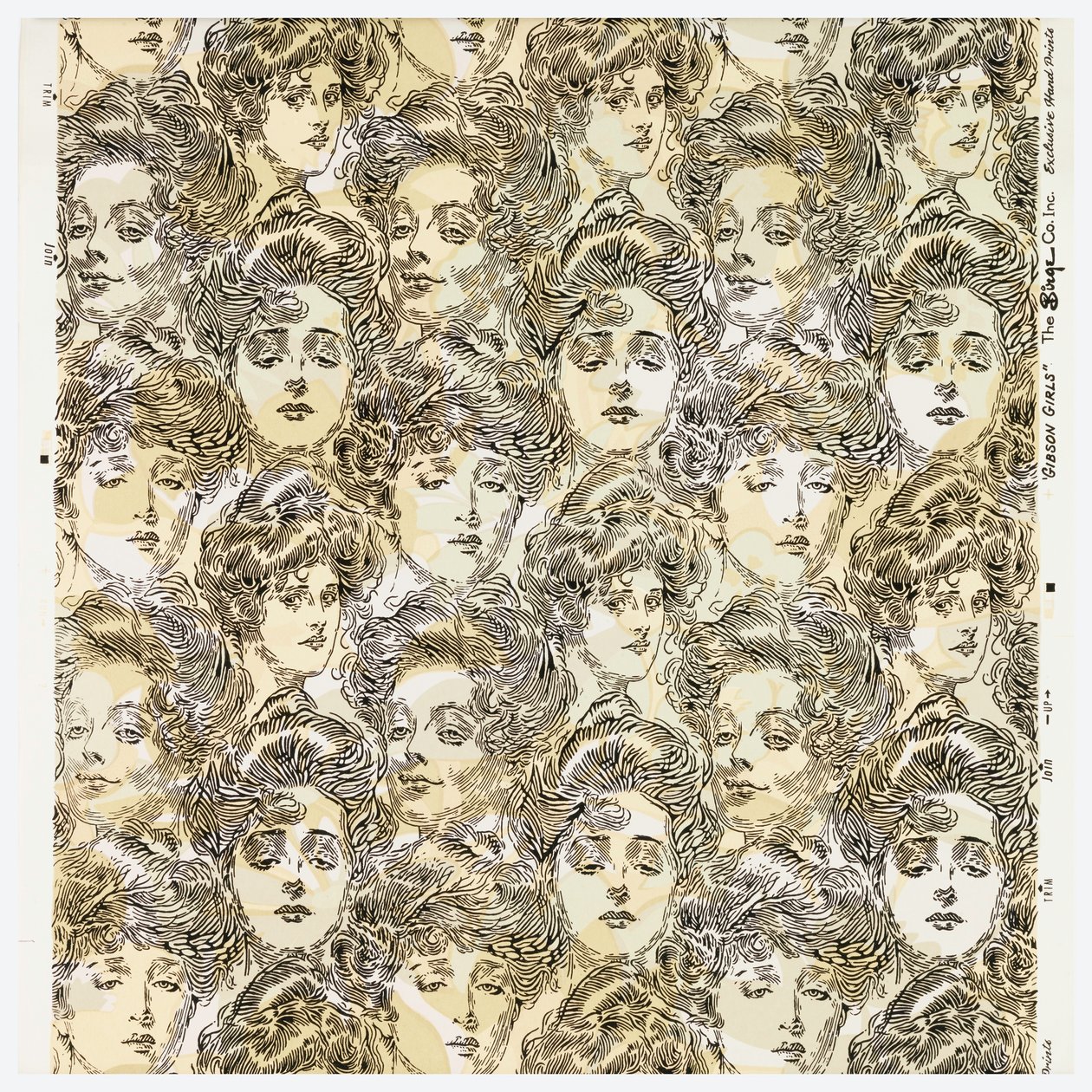 Kandidaatin seinäpaperi, 1902 tekijältä Charles Dana Gibson