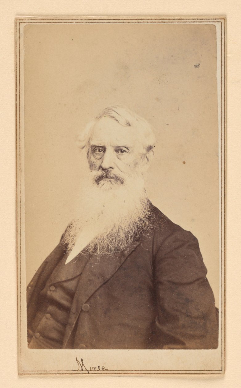 Samuel F. B. Morse tekijältä Charles DeForest Fredricks