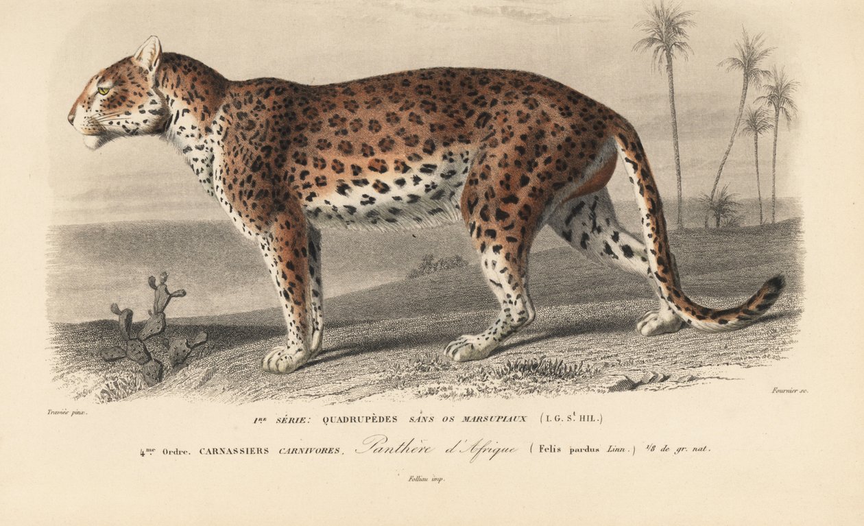 Leopardi, Charles D