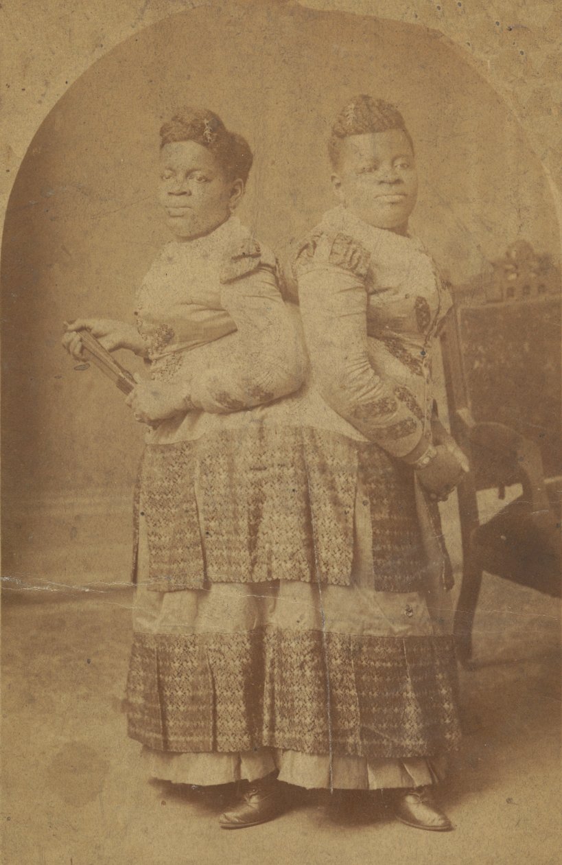 Millie ja Christine McCoyn albumiiniprintti, 1880-1890. tekijältä Charles Eisenmann