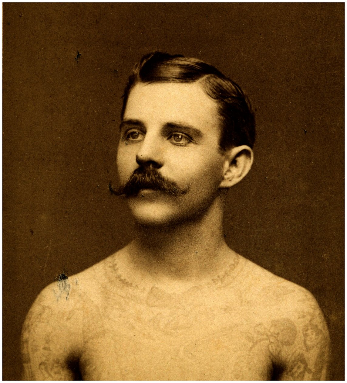 Frank Howard tatuoitu mies, n. 1900 (kaappikortti) tekijältä Charles Eisenmann