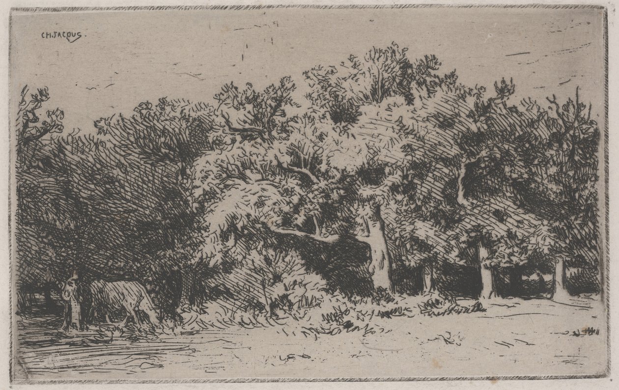 Fontainebleaun metsän kulma (etsaus) tekijältä Charles Emile Jacque