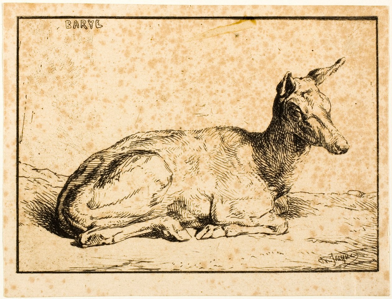 A Doe tekijältä Charles Emile Jacque