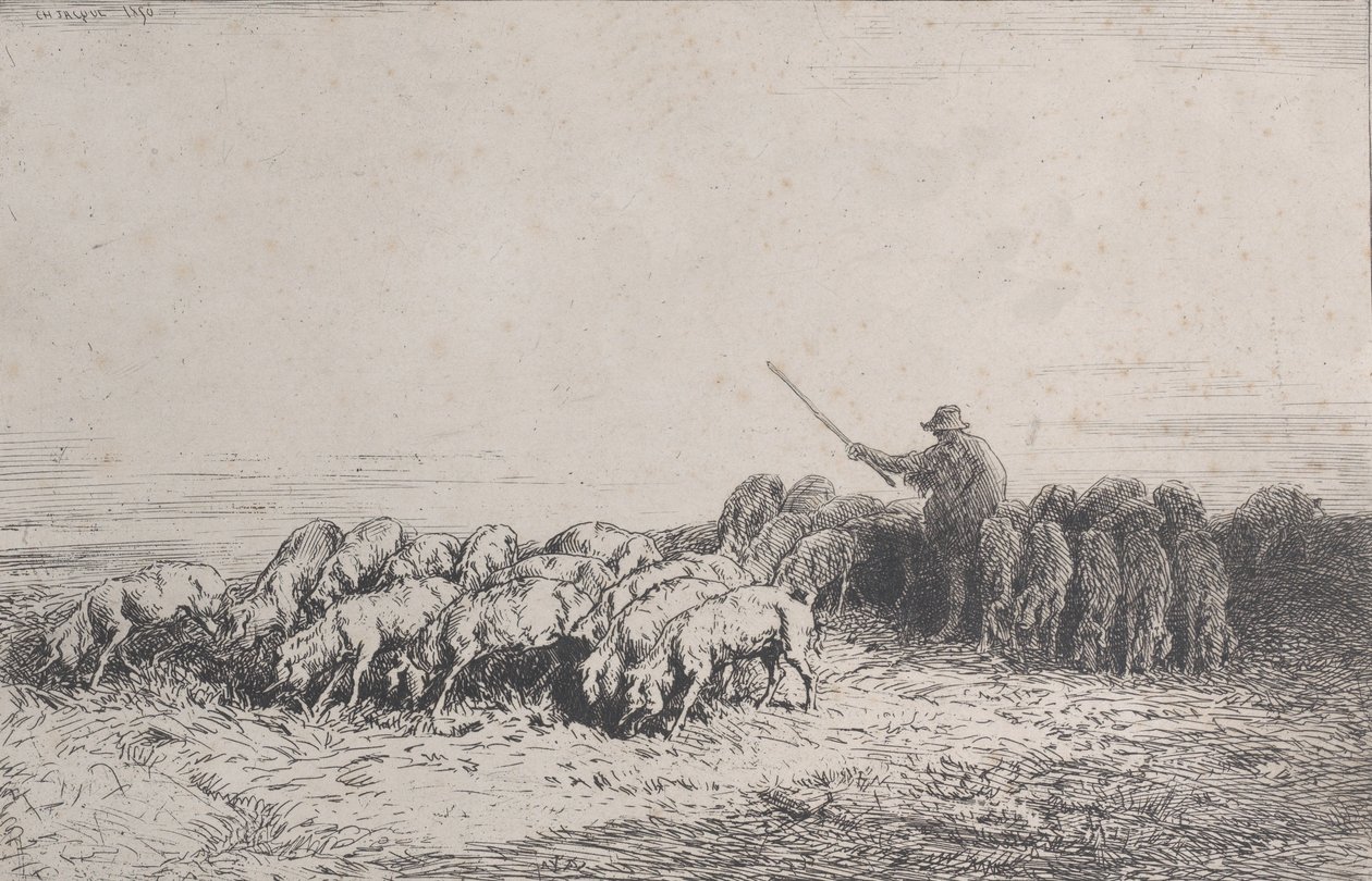 Sikalauma, 1850. tekijältä Charles Emile Jacque
