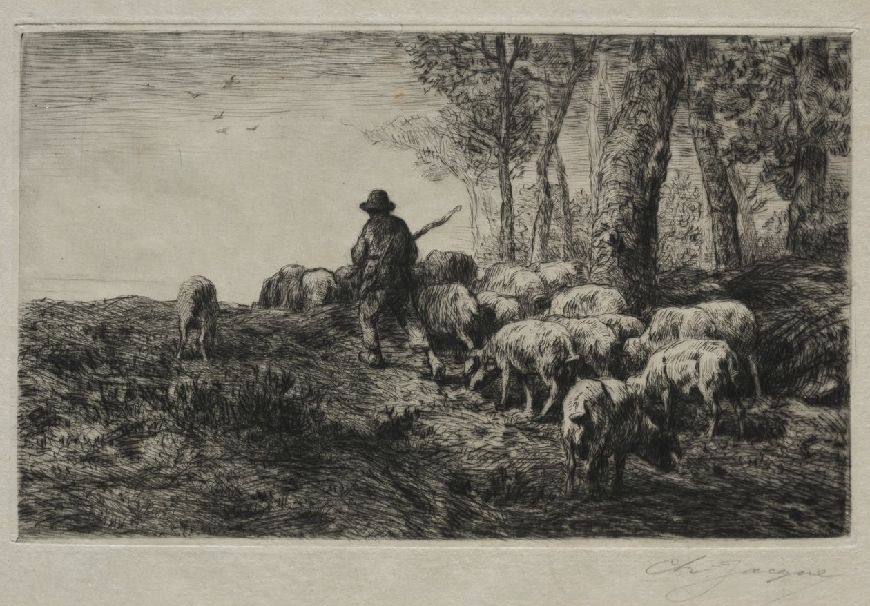 Sikalauma tekijältä Charles Emile Jacque