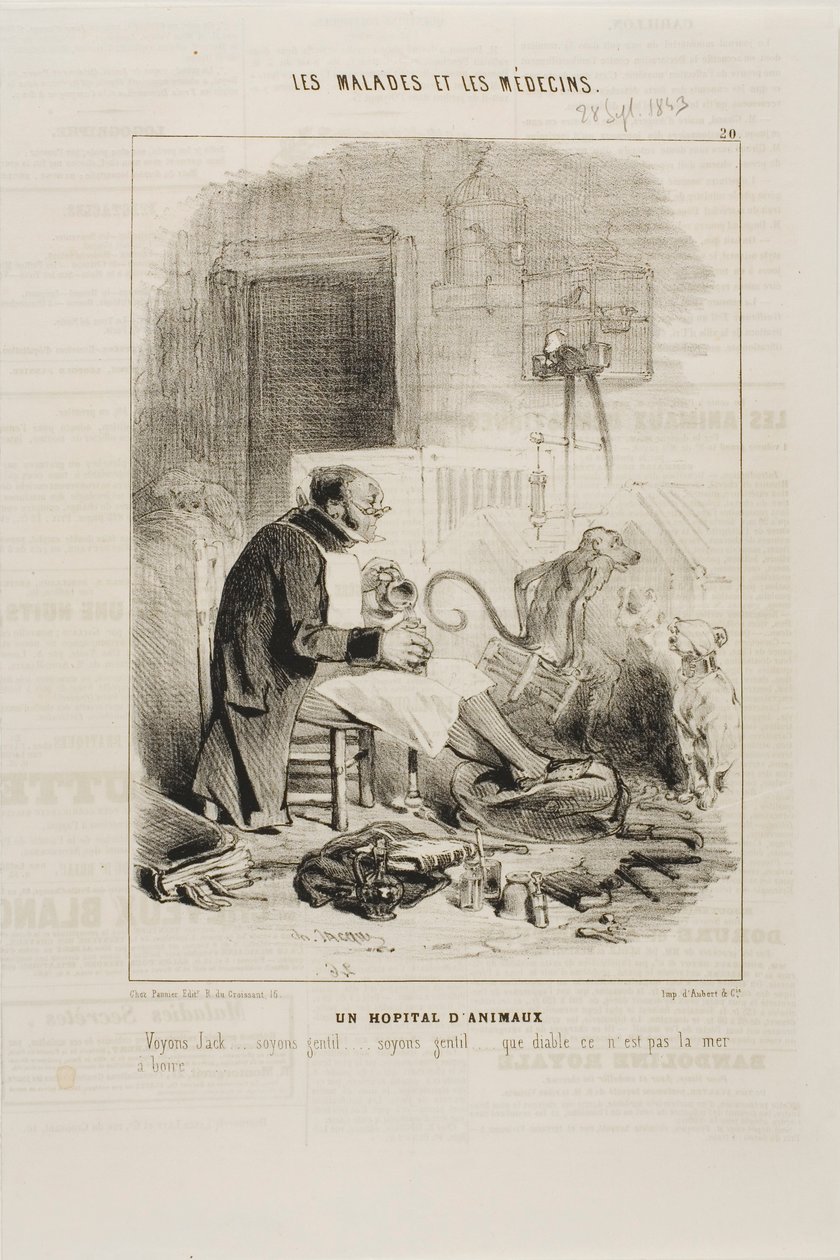 Eläinsairaala (levy 20) tekijältä Charles Emile Jacque