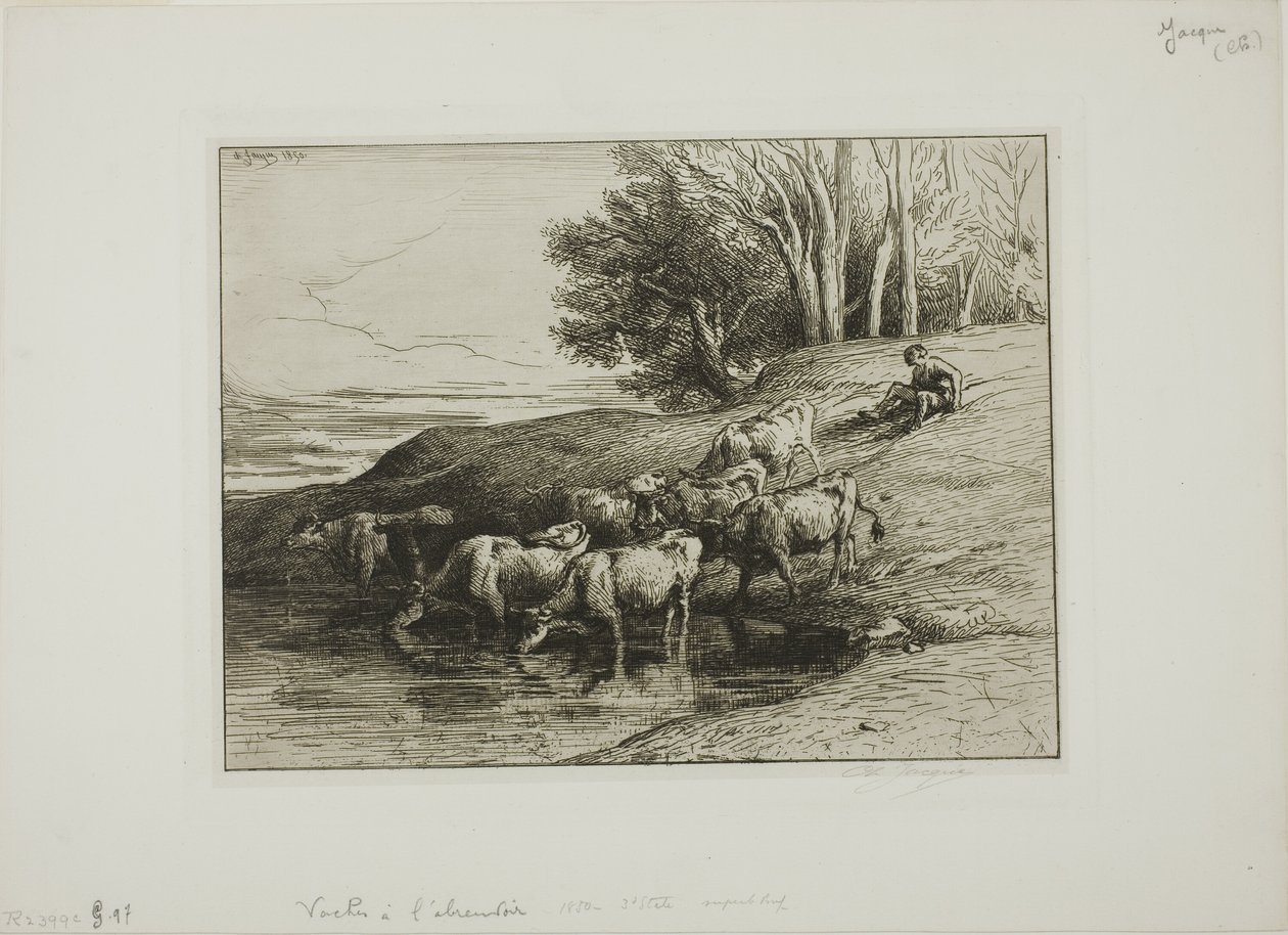 Lehmät juomapaikalla tekijältä Charles Emile Jacque