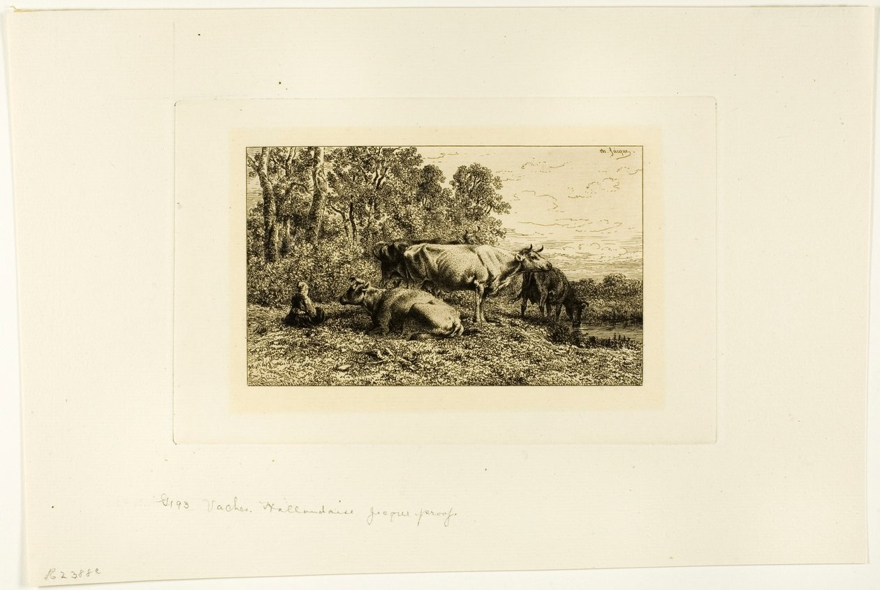 hollantilaiset lehmät tekijältä Charles Emile Jacque