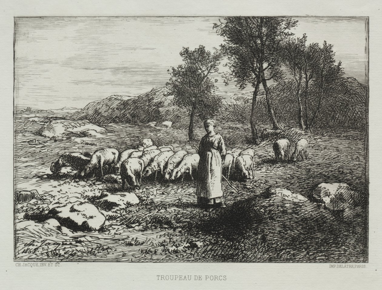 Sikalauma tekijältä Charles Emile Jacque