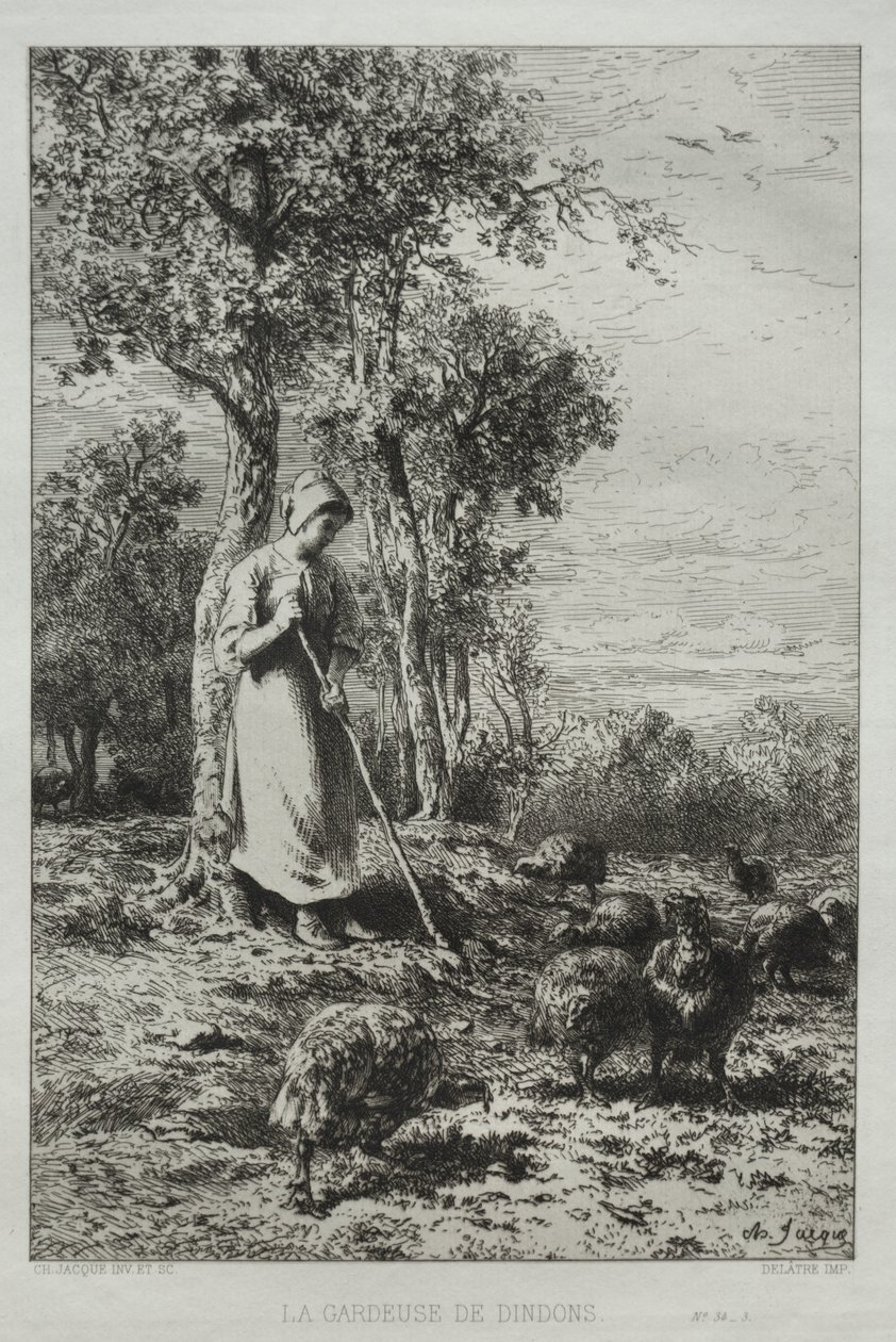 Kalkkunoiden vartija tekijältä Charles Emile Jacque
