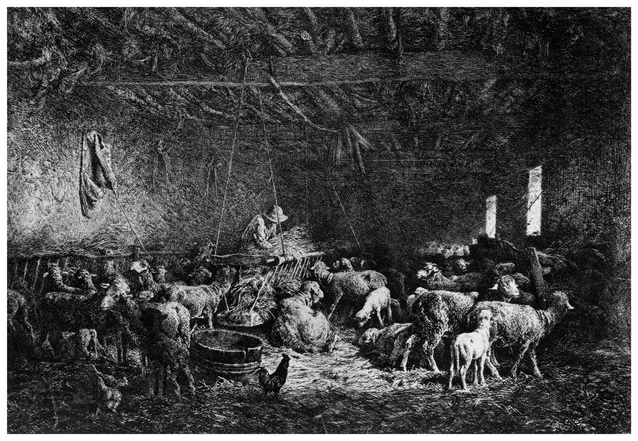 La Bergerie, Paimen, 1825-1890 1924. tekijältä Charles Emile Jacque
