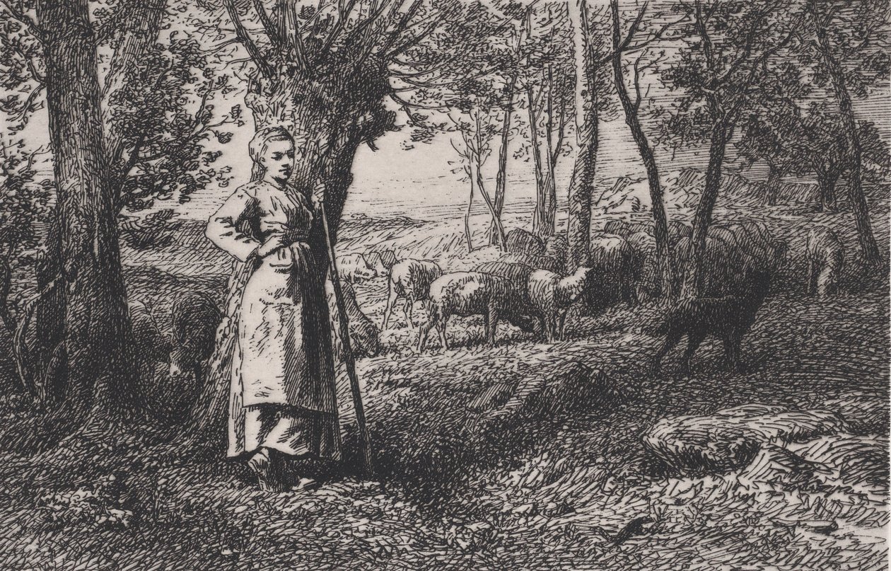 Paimentar, 1868. tekijältä Charles Emile Jacque
