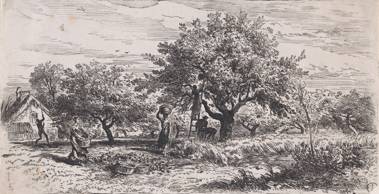 Hedelmien poimiminen puusta mökin ulkopuolelta, n. 1852. tekijältä Charles Emile Jacque