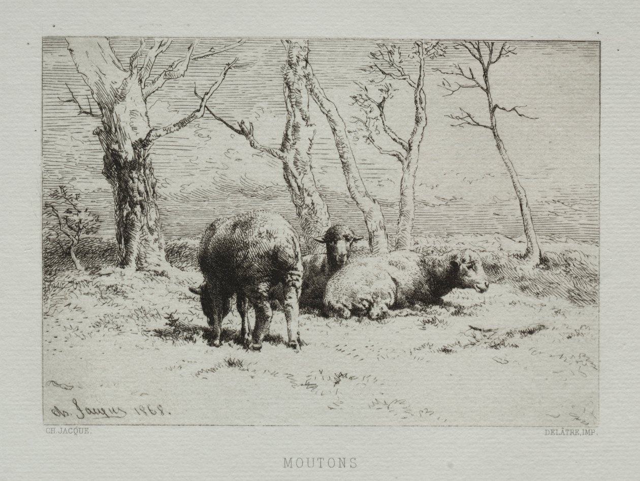 Lampaat, 1868. tekijältä Charles Emile Jacque