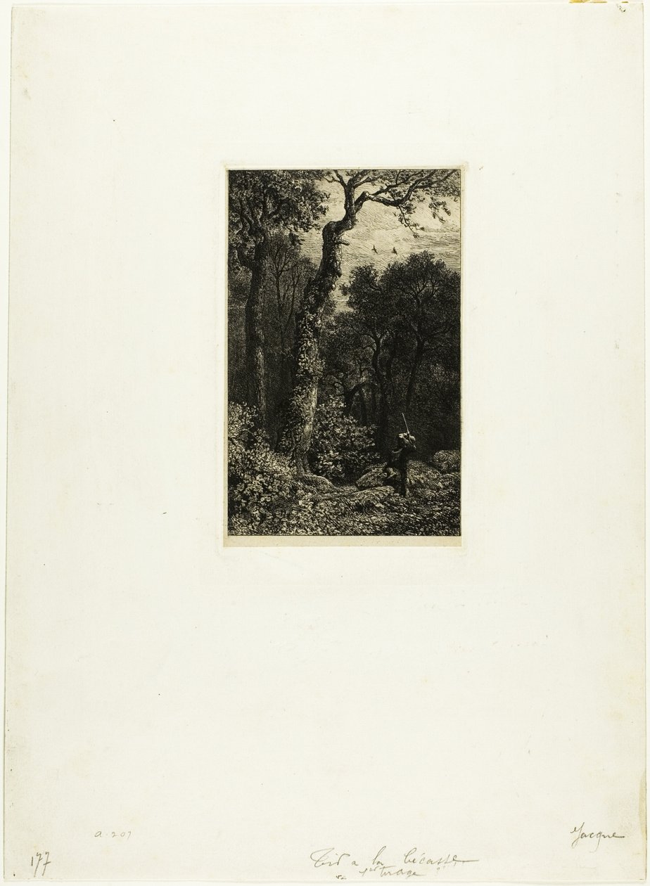 Woodcockin ammunta tekijältä Charles Emile Jacque