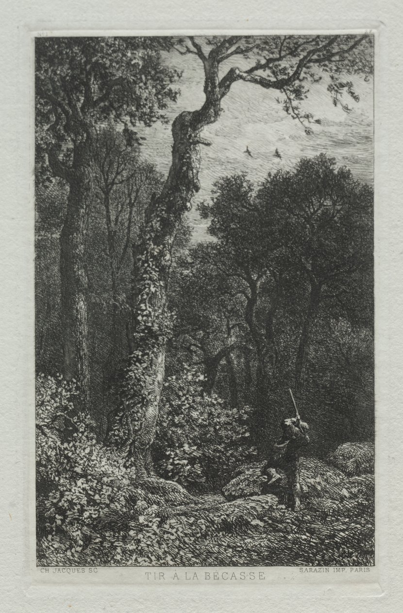 Woodcockin ampuminen tekijältä Charles Emile Jacque