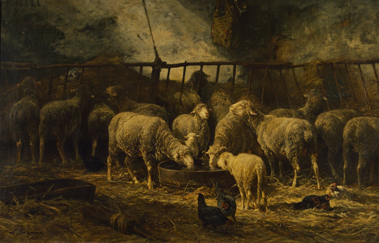Suuri lammastarha, 1881 tekijältä Charles Emile Jacque