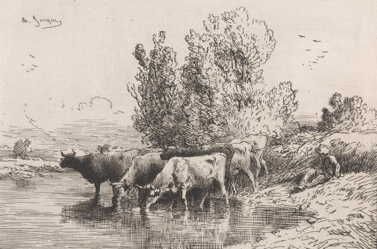 Kouru, 1864. tekijältä Charles Emile Jacque